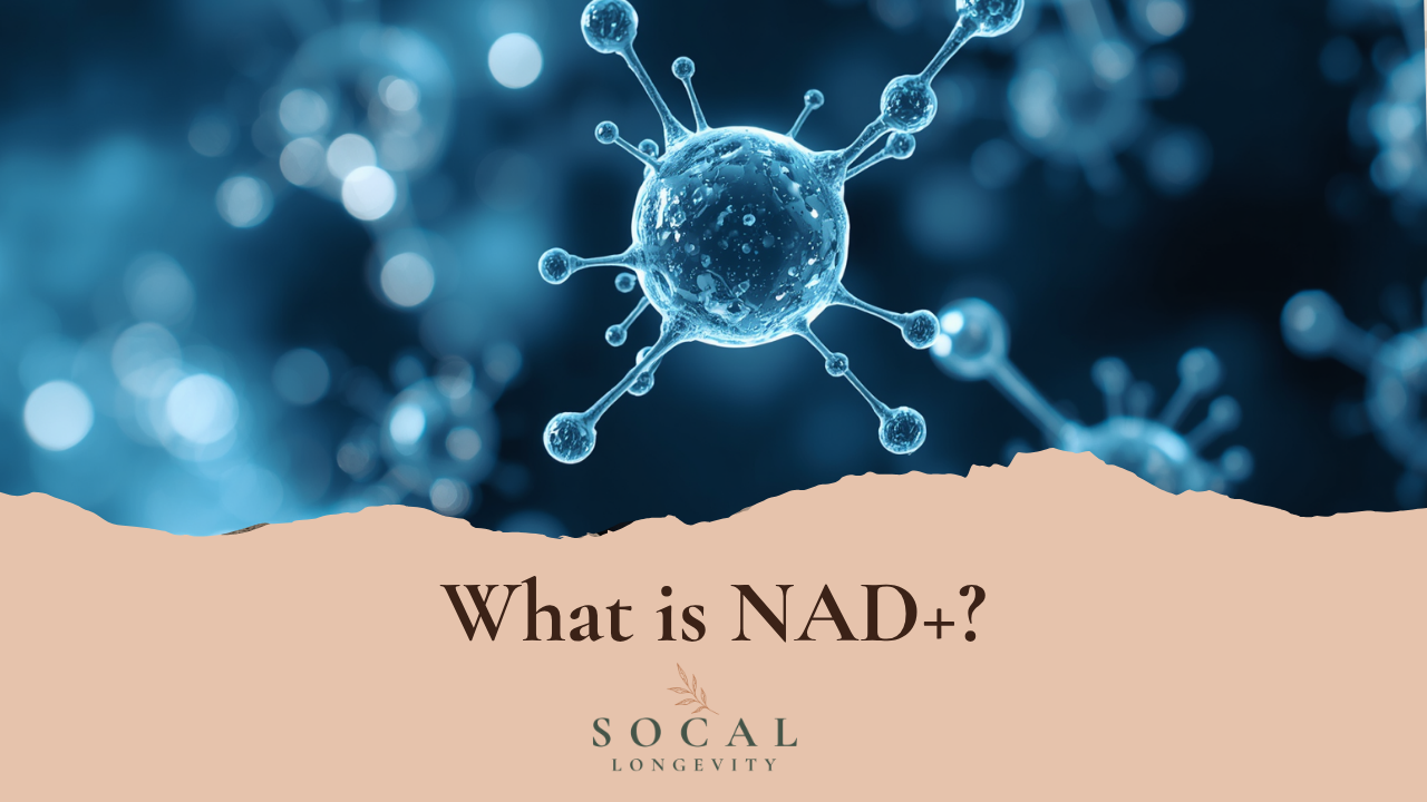 What is NAD+ | NMN vs NR Explained | SoCal Longevity