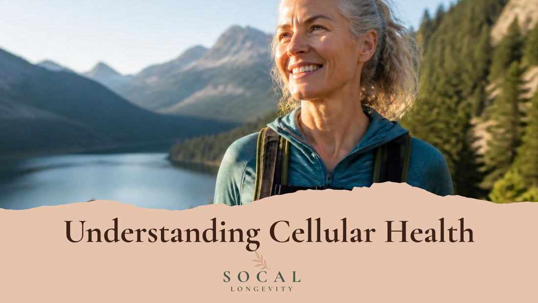 Understanding Cellular Health: Why NR (Nicotinamide Riboside) Matters